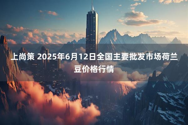 上尚策 2025年6月12日全国主要批发市场荷兰豆价格行情