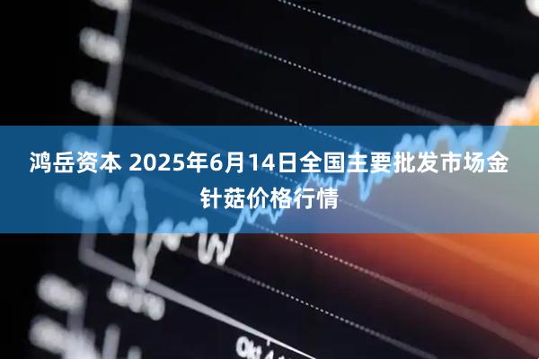 鸿岳资本 2025年6月14日全国主要批发市场金针菇价格行情