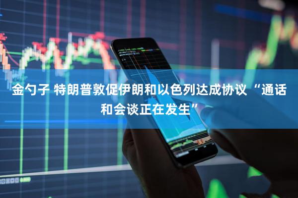 金勺子 特朗普敦促伊朗和以色列达成协议 “通话和会谈正在发生”