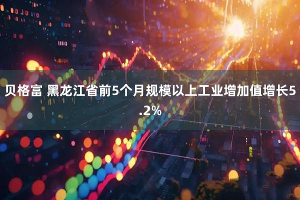 贝格富 黑龙江省前5个月规模以上工业增加值增长5.2%