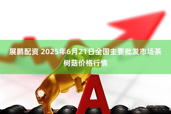 展鹏配资 2025年6月21日全国主要批发市场茶树菇价格行情