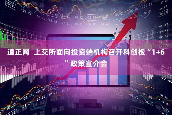 道正网  上交所面向投资端机构召开科创板“1+6”政策宣介会